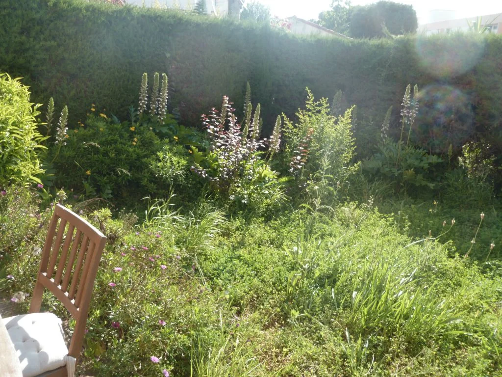 Jardin avant remise en état
