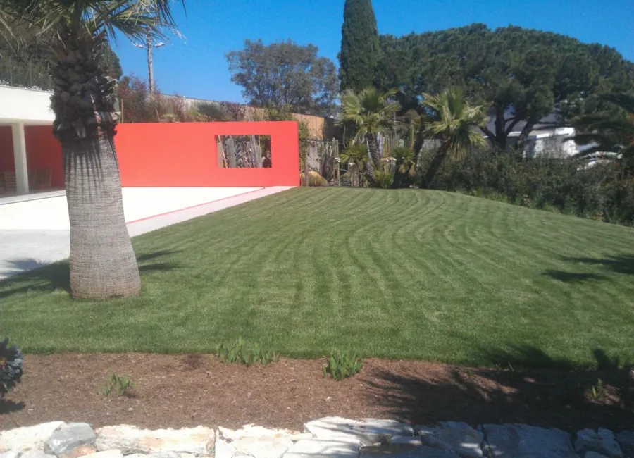 Pelouse entretenue et jardin aménagé